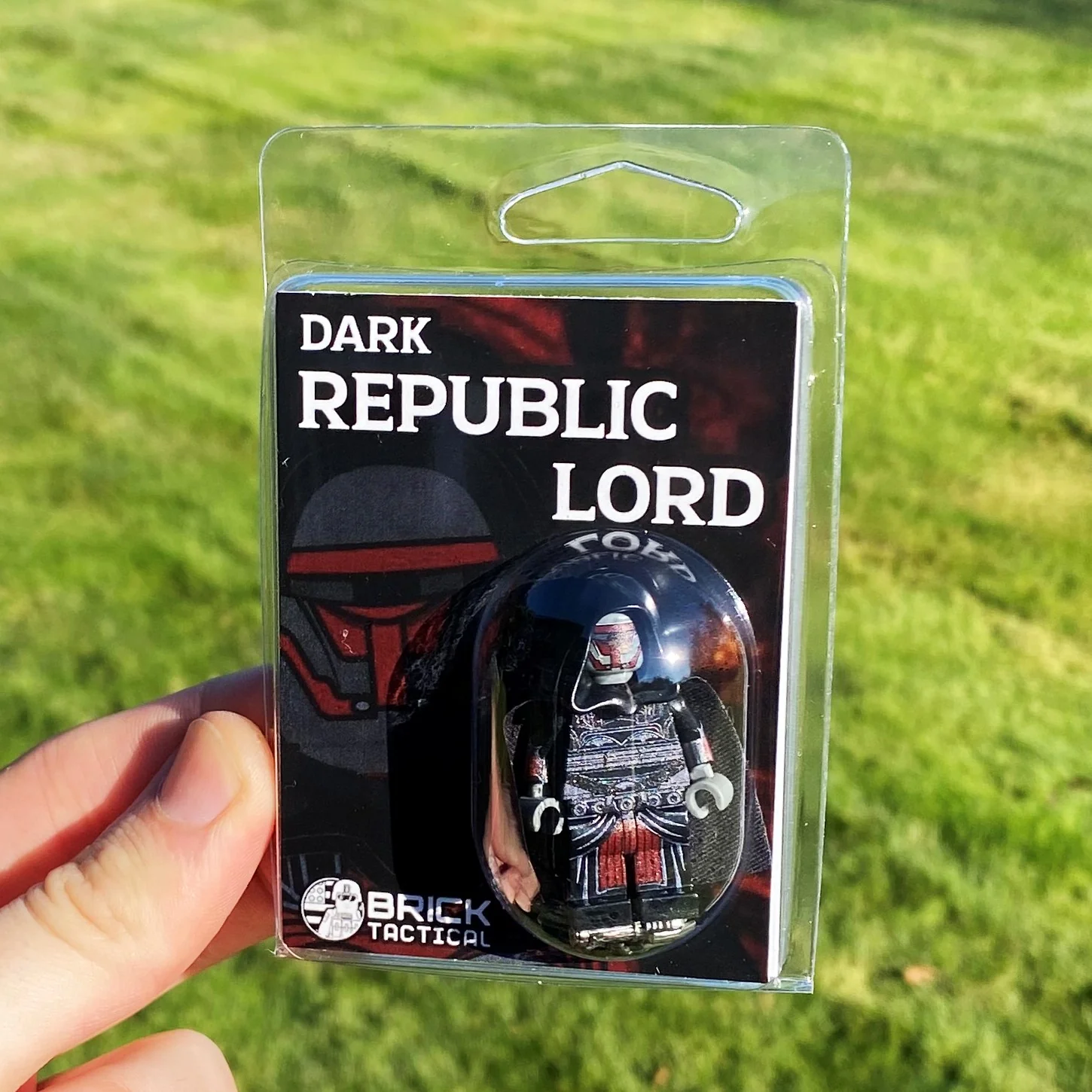Dark Republic Lord - Image 2