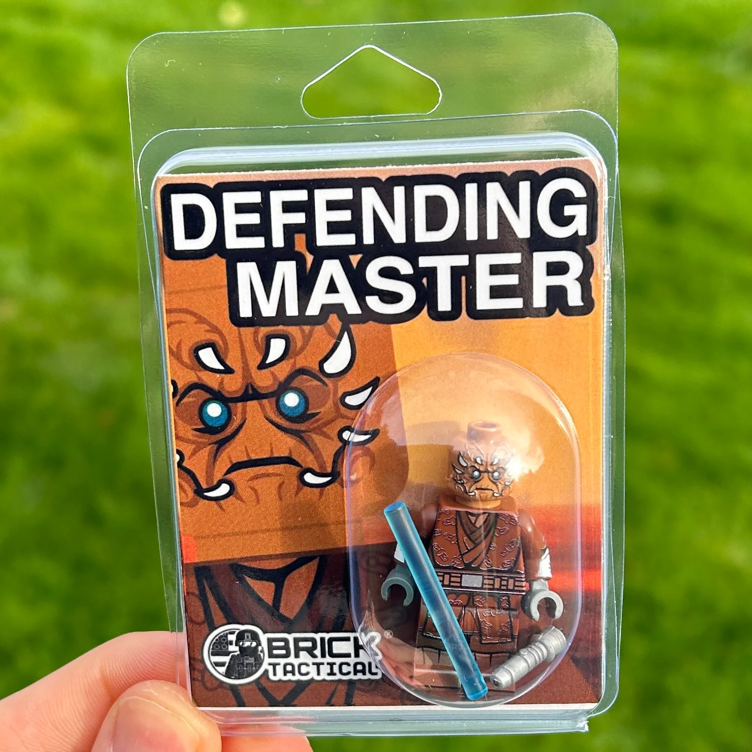Defending Master - Image 2