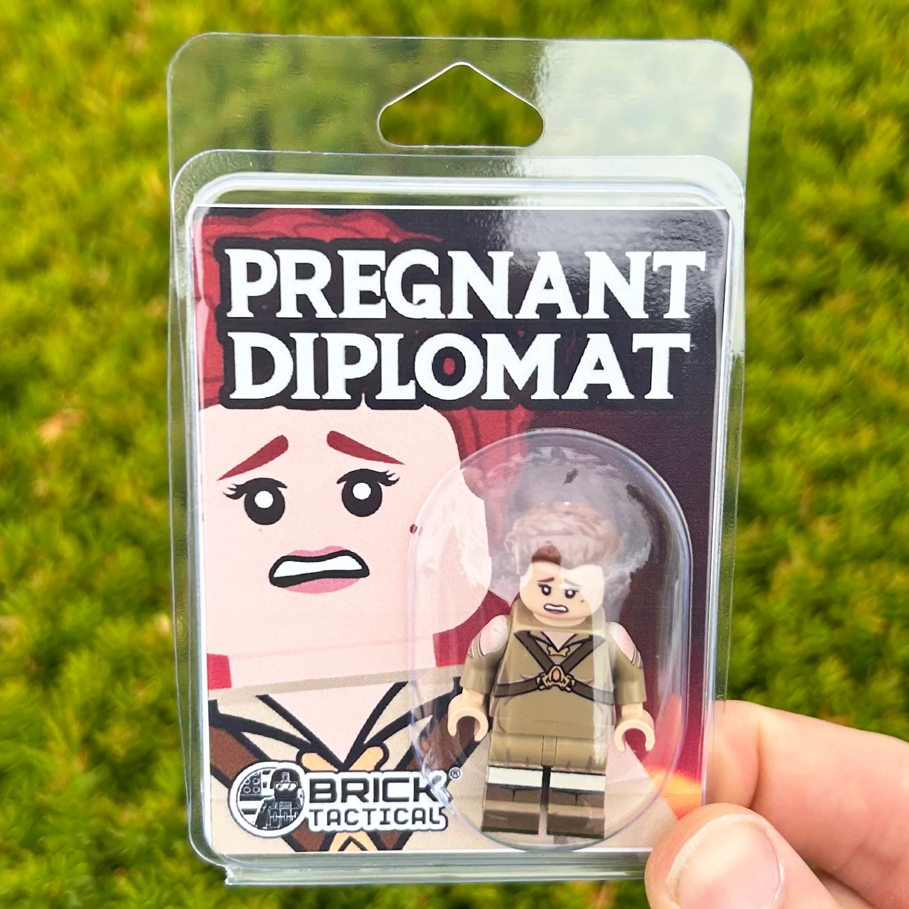 Pregnant Diplomat - Image 2
